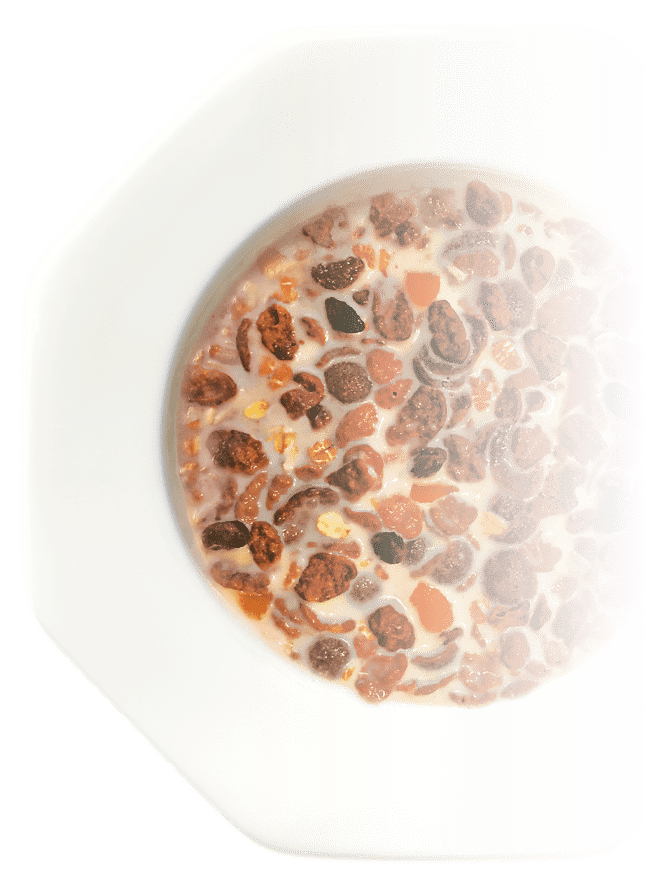 ProWell Schoko-Müsli